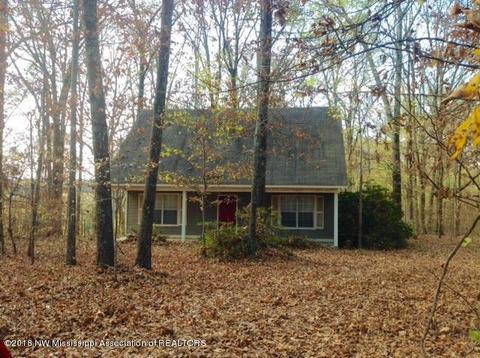 3573 Bend Rd, Coldwater, MS 38618 photo 10