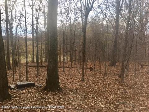3573 Bend Rd, Coldwater, MS 38618 photo 11