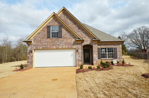 204 Eagle Cv, Senatobia, MS 38668 photo 1