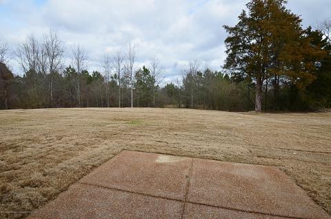 204 Eagle Cv, Senatobia, MS 38668 photo 22
