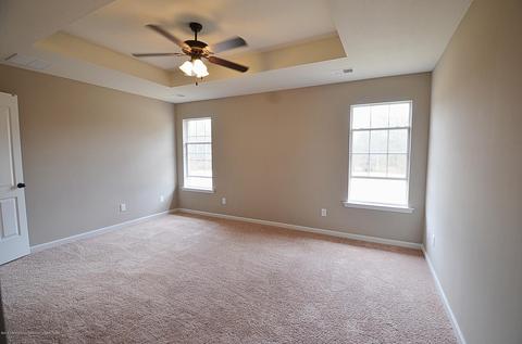 204 Eagle Cv, Senatobia, MS 38668 photo 12