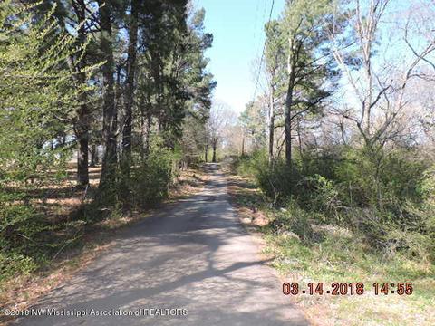 860 E Commerce St, Hernando, MS 38632 photo 7