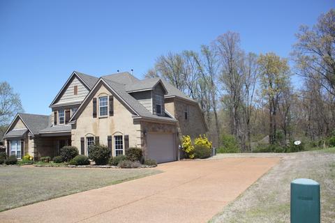 3376 Delaney Dr, Nesbit, MS 38651 photo 3