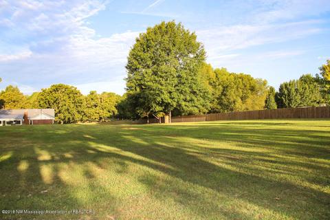 2668 Hunter Rd, Nesbit, MS 38651 photo 22