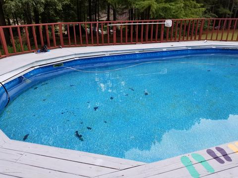 3221 Amy Dr, Nesbit, MS 38651 photo 28