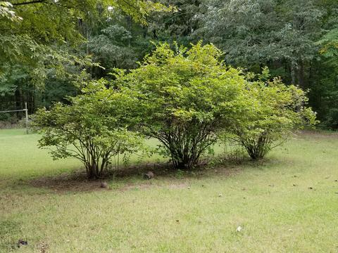3221 Amy Dr, Nesbit, MS 38651 photo 29