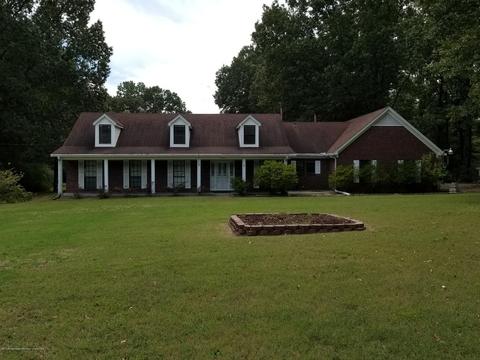 3221 Amy Dr, Nesbit, MS 38651 photo 1