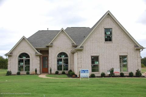 107 Eagle View Dr, Senatobia, MS 38668 photo 1