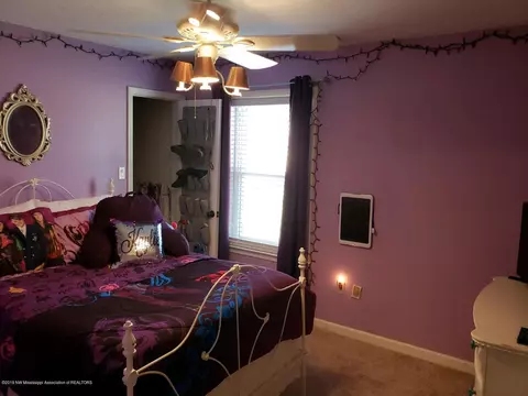 6685 River Birch Rd, Walls, MS 38680 photo 11