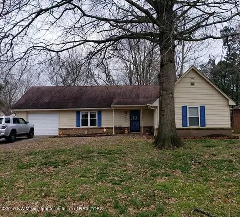 6685 River Birch Rd, Walls, MS 38680 photo 1