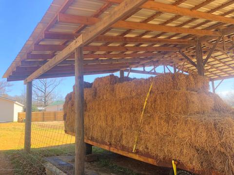 604 Cline Rd, Sardis, MS 38666 photo 15
