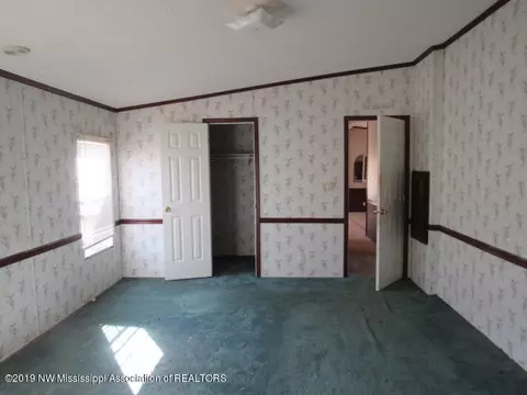 10320 N Cockrum Dr, Hernando, MS 38632 photo 19