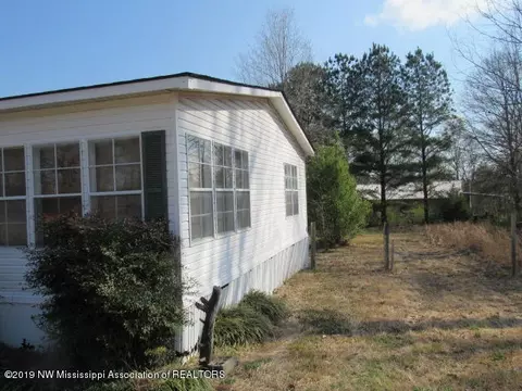 10320 N Cockrum Dr, Hernando, MS 38632 photo 4