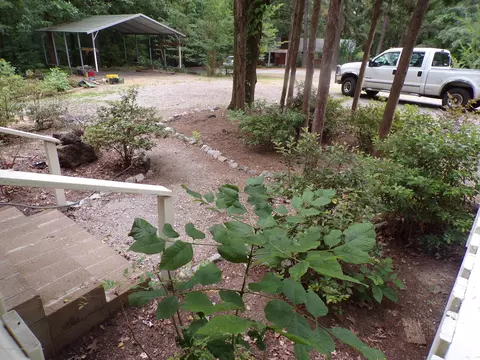 347 Kimes Cv, Sardis, MS 38666 photo 9