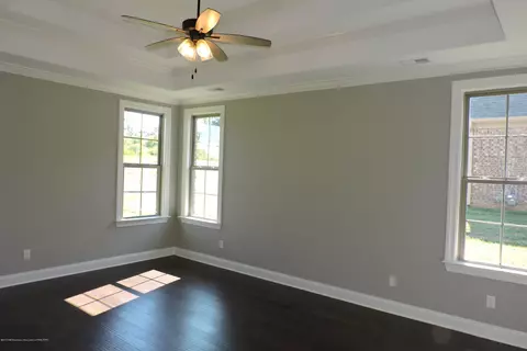4171 Bakersfield Dr, Nesbit, MS 38651 photo 16