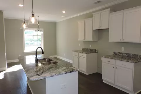 1601 Johnston Rd, Hernando, MS 38632 photo 9