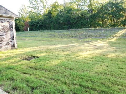208 Eagle View Dr, Senatobia, MS 38668 photo 27