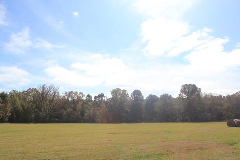 1089 Independence Rd, Coldwater, MS 38618 photo 21