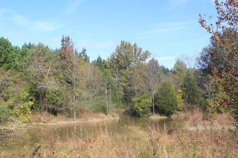 1089 Independence Rd, Coldwater, MS 38618 photo 27