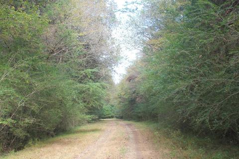 1089 Independence Rd, Coldwater, MS 38618 photo 6