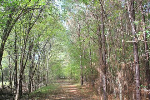 1089 Independence Rd, Coldwater, MS 38618 photo 10