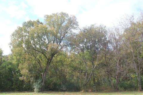 1089 Independence Rd, Coldwater, MS 38618 photo 3