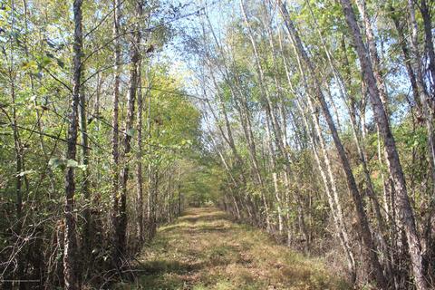 1089 Independence Rd, Coldwater, MS 38618 photo 28