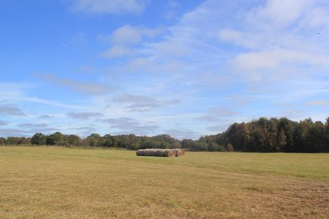 1089 Independence Rd, Coldwater, MS 38618 photo 20