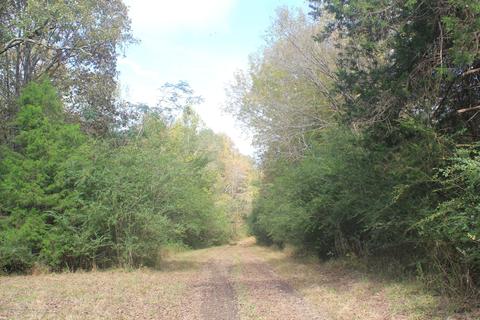 1089 Independence Rd, Coldwater, MS 38618 photo 4