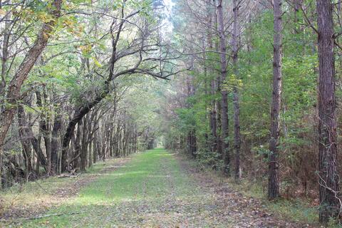 1089 Independence Rd, Coldwater, MS 38618 photo 11