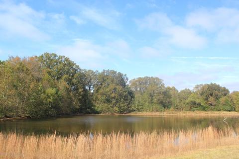 1089 Independence Rd, Coldwater, MS 38618 photo 22