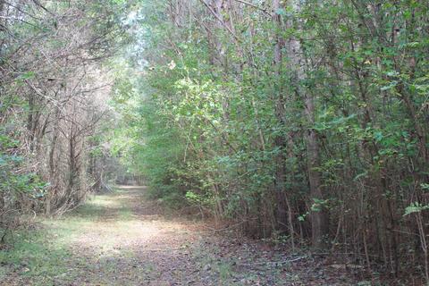 1089 Independence Rd, Coldwater, MS 38618 photo 8