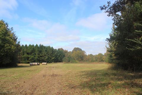 1089 Independence Rd, Coldwater, MS 38618 photo 19