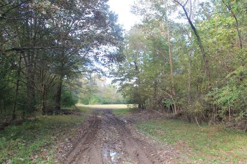 1089 Independence Rd, Coldwater, MS 38618 photo 16