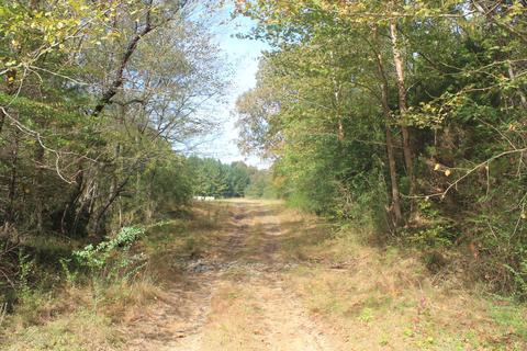 1089 Independence Rd, Coldwater, MS 38618 photo 18