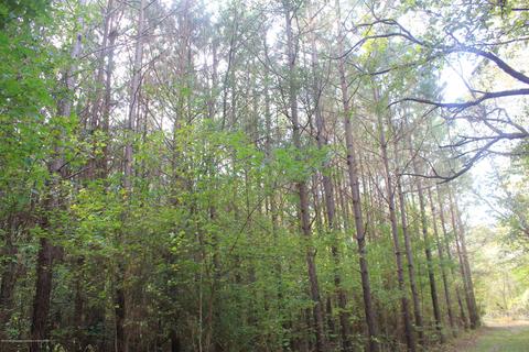 1089 Independence Rd, Coldwater, MS 38618 photo 13