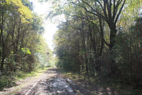 1089 Independence Rd, Coldwater, MS 38618 photo 31