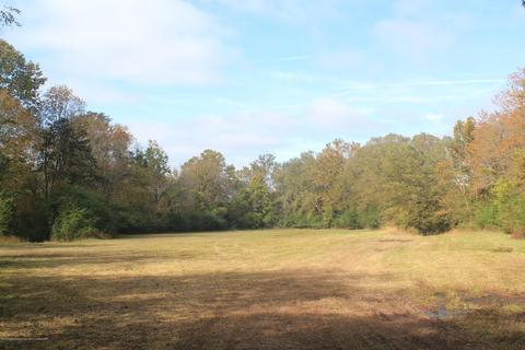 1089 Independence Rd, Coldwater, MS 38618 photo 17
