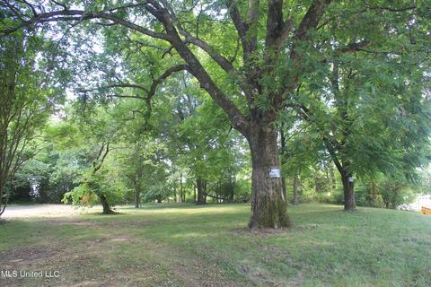 9105 E Sandidge Rd, Olive Branch, MS 38654 photo 9