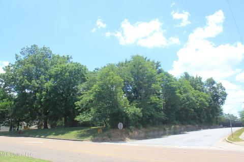 9105 E Sandidge Rd, Olive Branch, MS 38654 photo 5