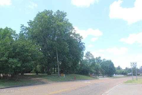 9105 E Sandidge Rd, Olive Branch, MS 38654 photo 6