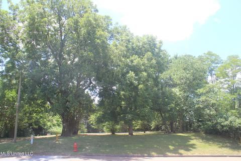 9105 E Sandidge Rd, Olive Branch, MS 38654 photo 3