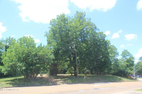 9105 E Sandidge Rd, Olive Branch, MS 38654 photo 1