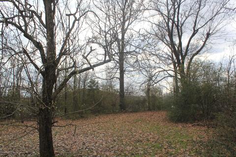 9105 E Sandidge Rd, Olive Branch, MS 38654 photo 15