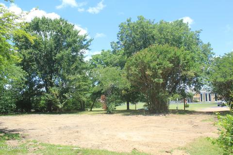 9105 E Sandidge Rd, Olive Branch, MS 38654 photo 13