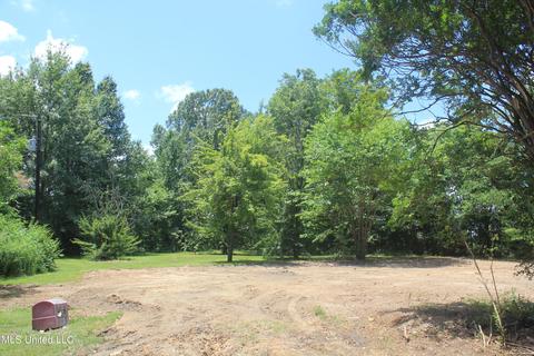 9105 E Sandidge Rd, Olive Branch, MS 38654 photo 10