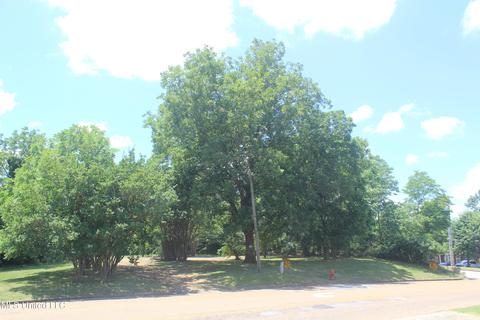 9105 E Sandidge Rd, Olive Branch, MS 38654 photo 2