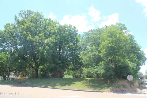 9105 E Sandidge Rd, Olive Branch, MS 38654 photo 4