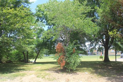 9105 E Sandidge Rd, Olive Branch, MS 38654 photo 11