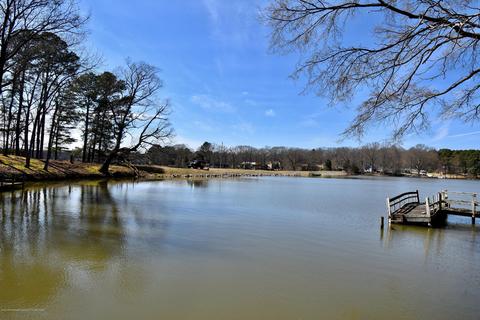 771 White Goose Cv, Hernando, MS 38632 photo 26